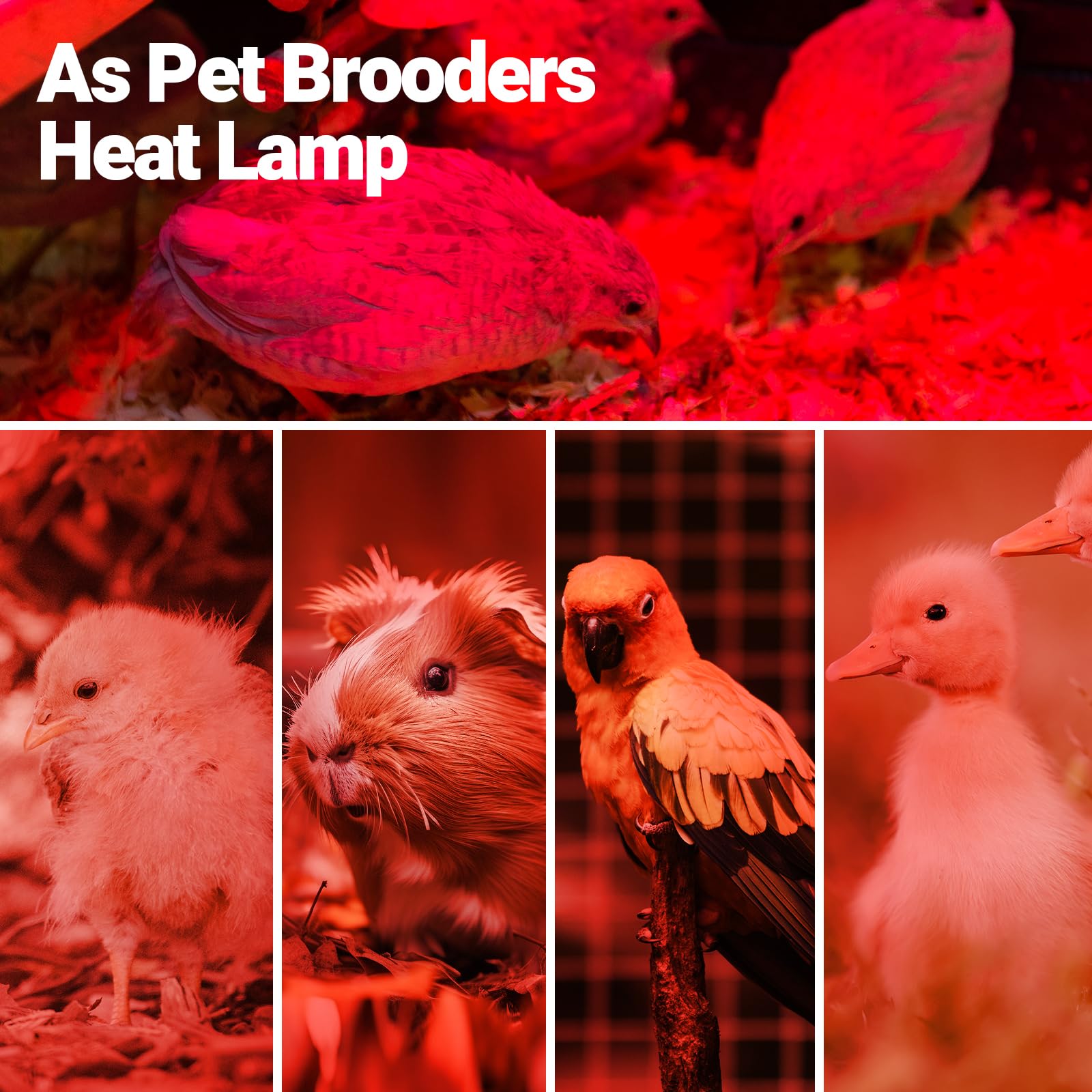 REPTI ZOO up to 3000 hours lifespan for long-lasting warmth.