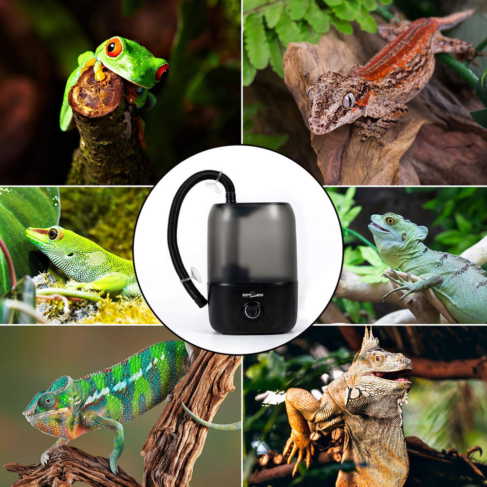 REPTI ZOO 4L humidifier dry-out protection prevents accidental operation.
