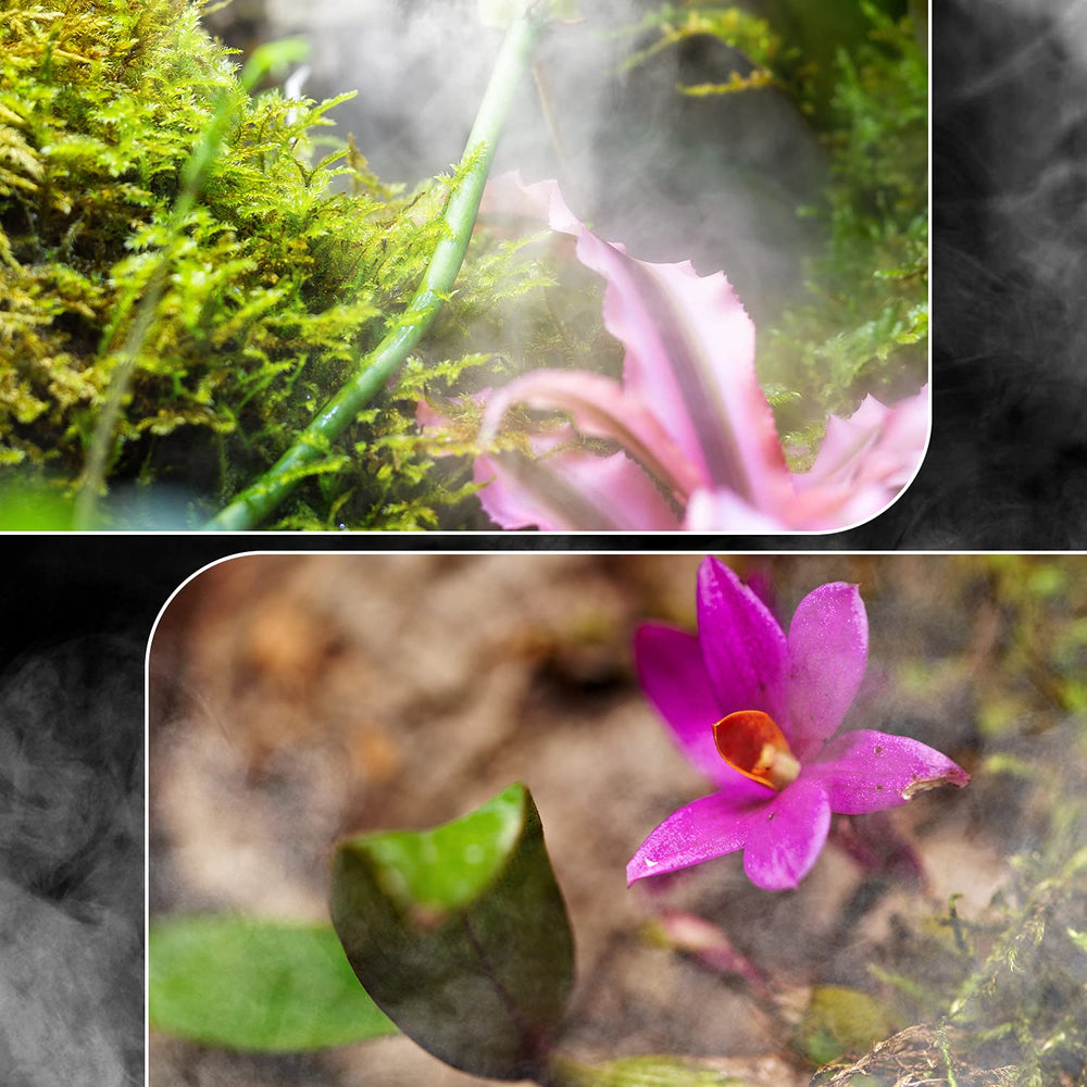 REPTI ZOO 4L humidifier ultra-quiet operation supports calm terrarium environments.