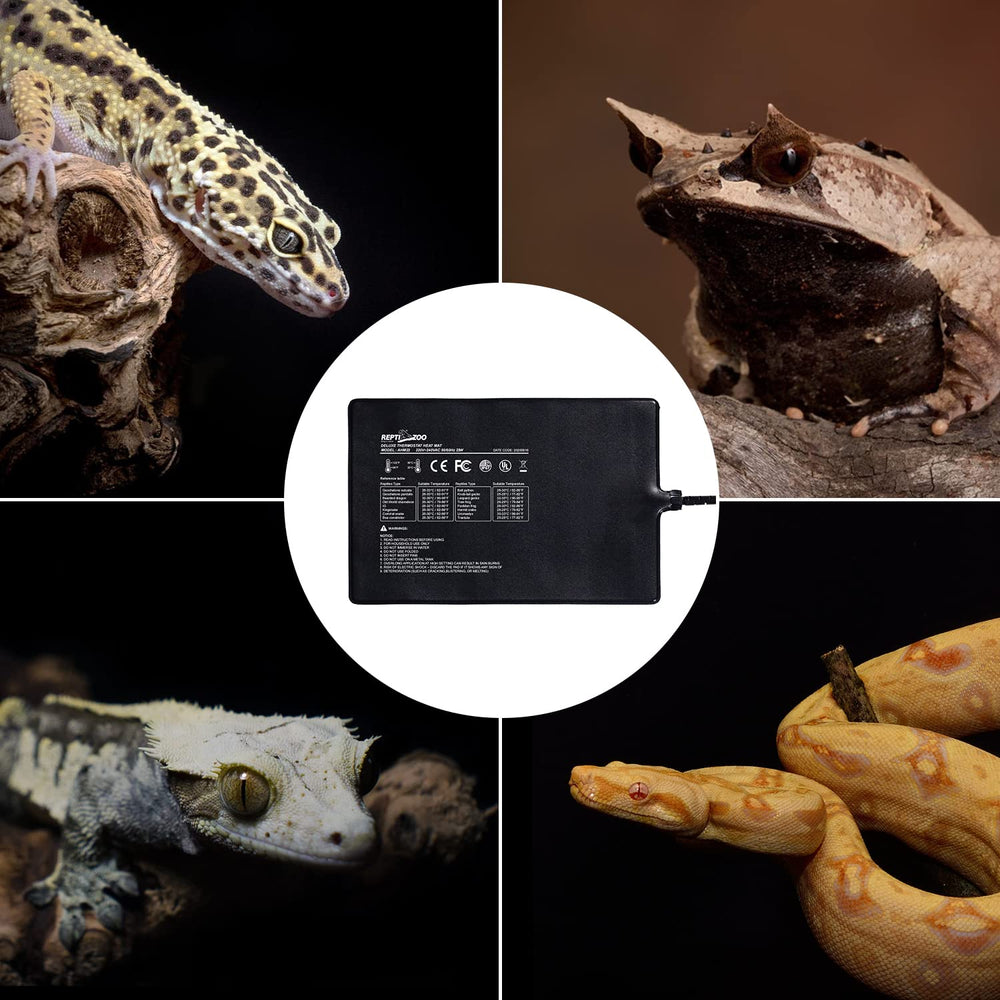 REPTI ZOO 8x12 inch heat mat installation shown on glass terrarium