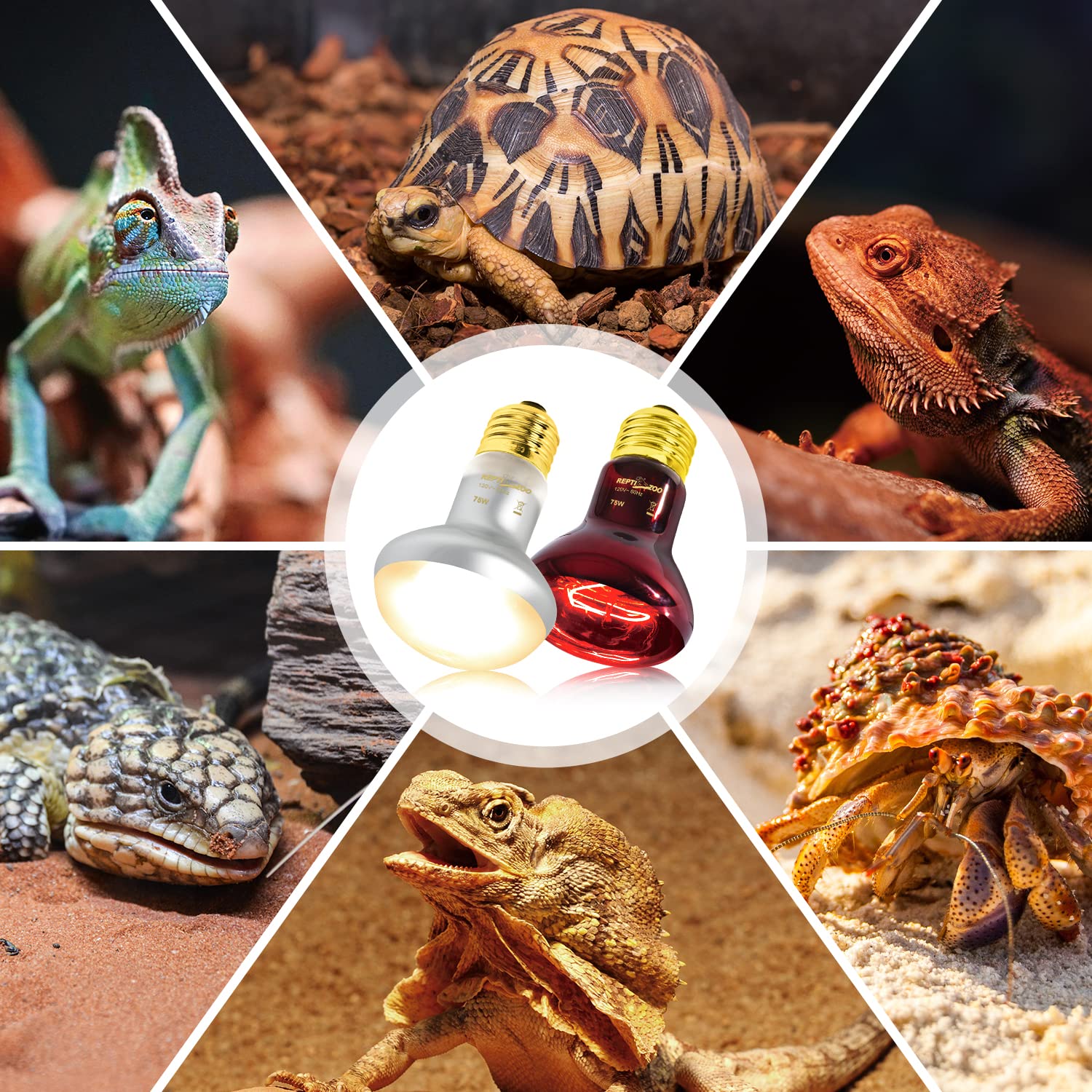 REPTI ZOO 90-day replacement service ensures support after purchase.