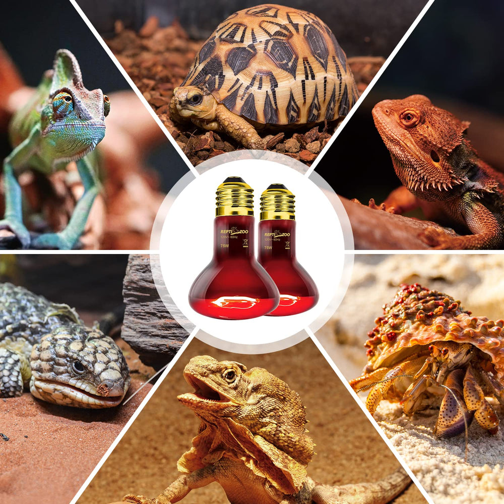 REPTI ZOO active-reptile-heat-boost supports vigor near basking spots.