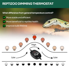 REPTI ZOO aluminum reflector enhances UVAUVB reach and heat projection
