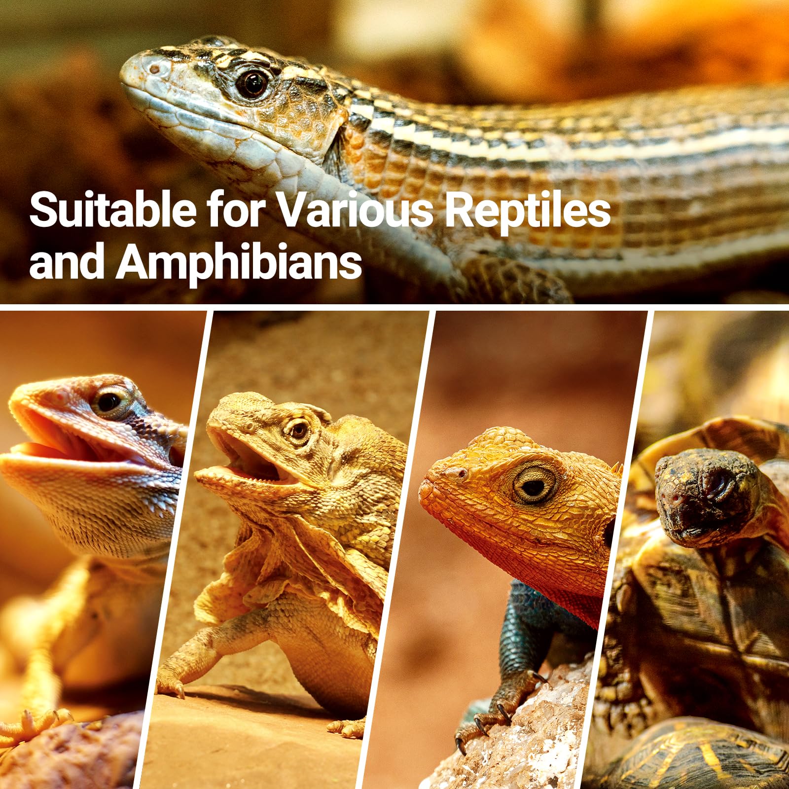 REPTI ZOO suitable for poultry like chickens and ducks.