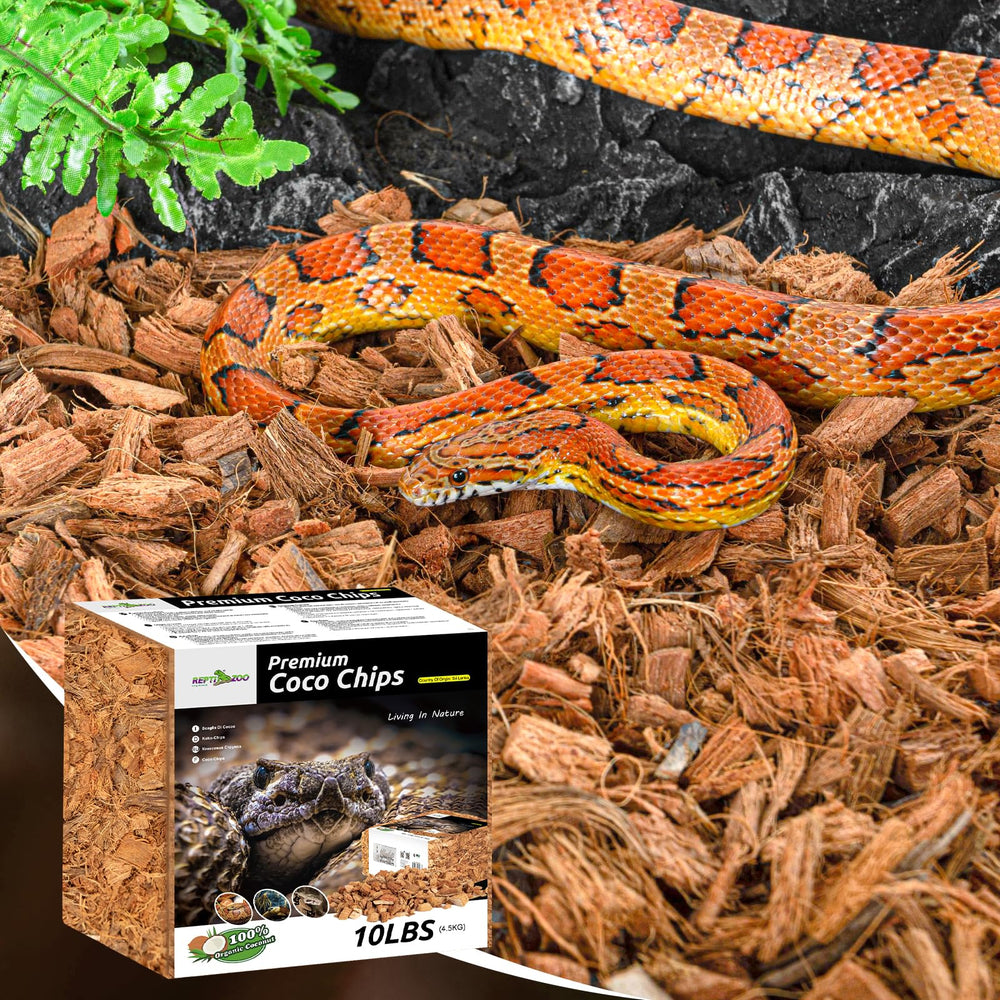 REPTI ZOO natural bedding keeps terrariums clean and odor-controlled.