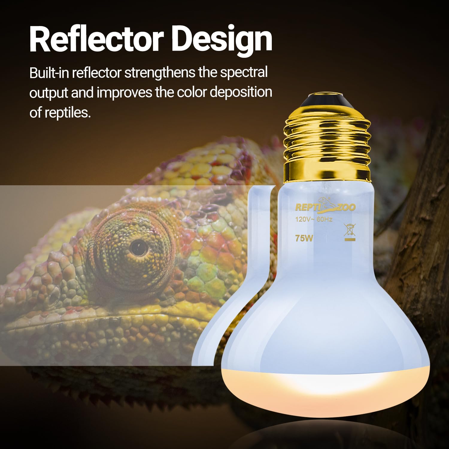 REPTI ZOO combo-pack two bulbs shows day and night functionality