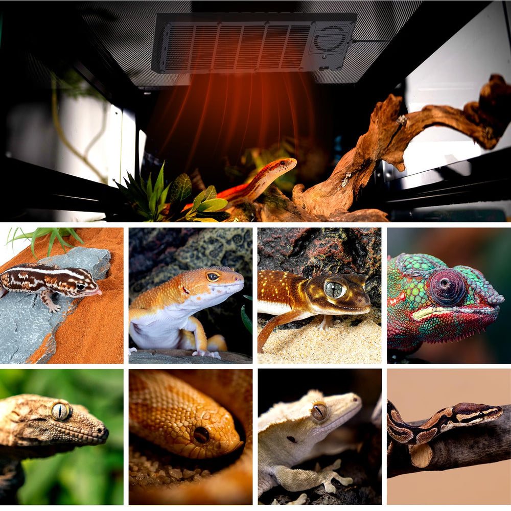 REPTI ZOO compatibility with snakes, geckos, turtles, and lizards.