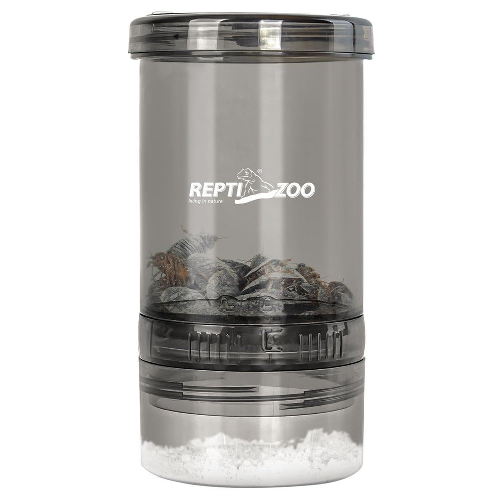 REPTI ZOO cricket keeper front view shows clear visibility for monitoring