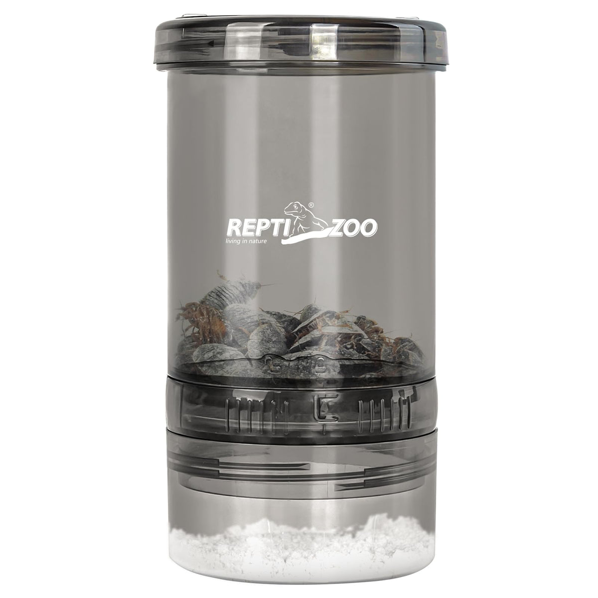 REPTI ZOO cricket keeper front view shows clear visibility for monitoring