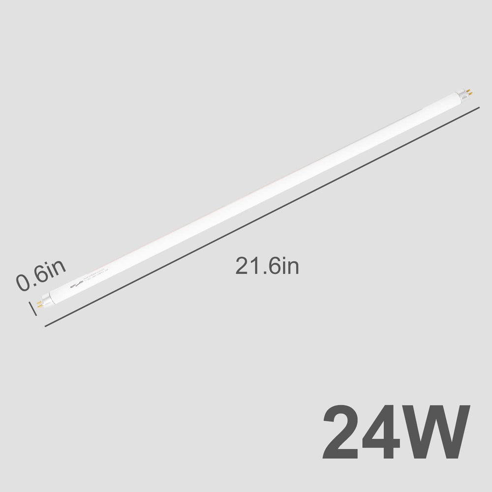 Desert enclosure glow supports natural behaviors with REPTI ZOO UVB.