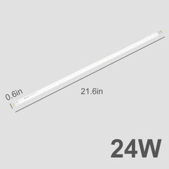 Desert enclosure glow supports natural behaviors with REPTI ZOO UVB.
