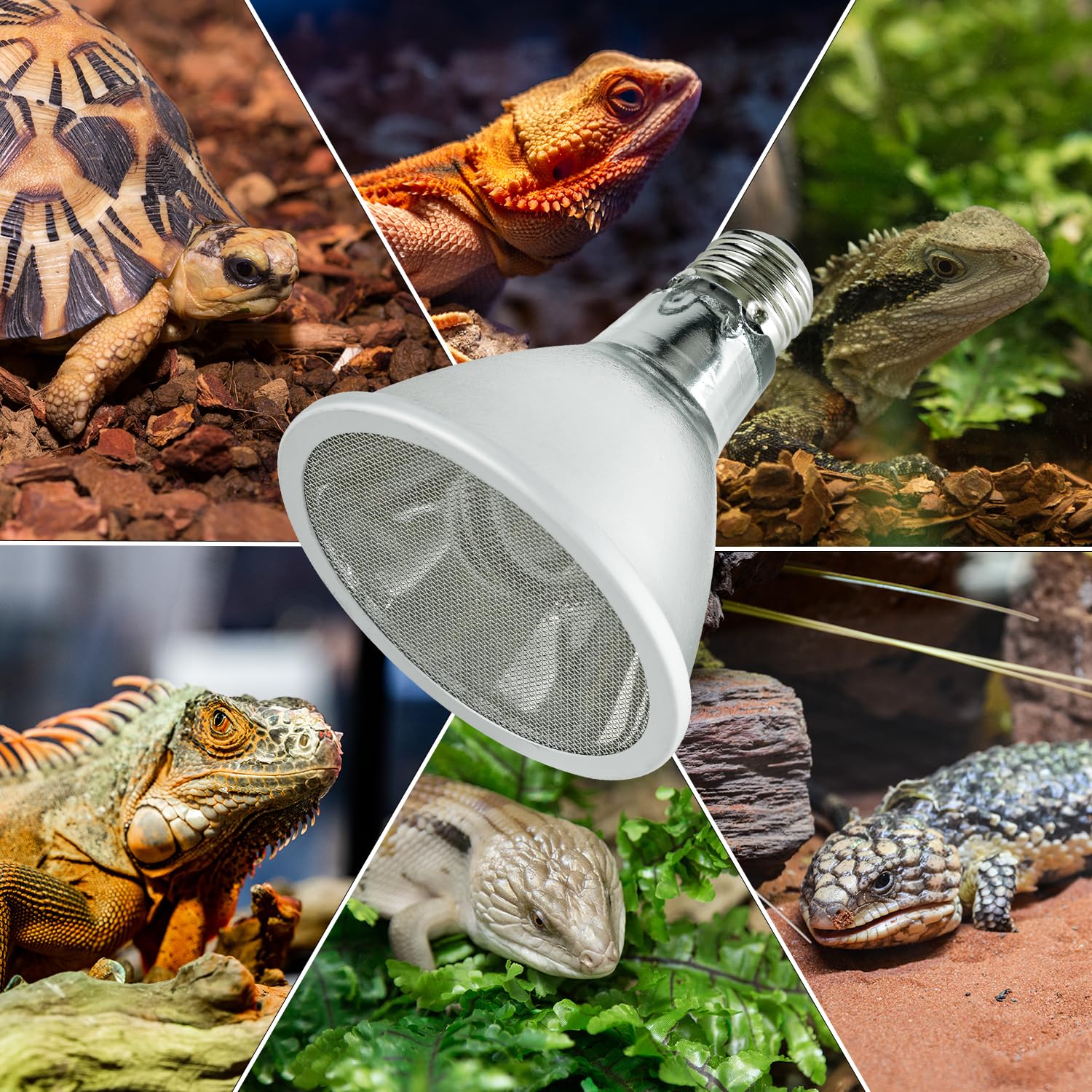 REPTI ZOO E26/E27 base compatibility supports flexible installation