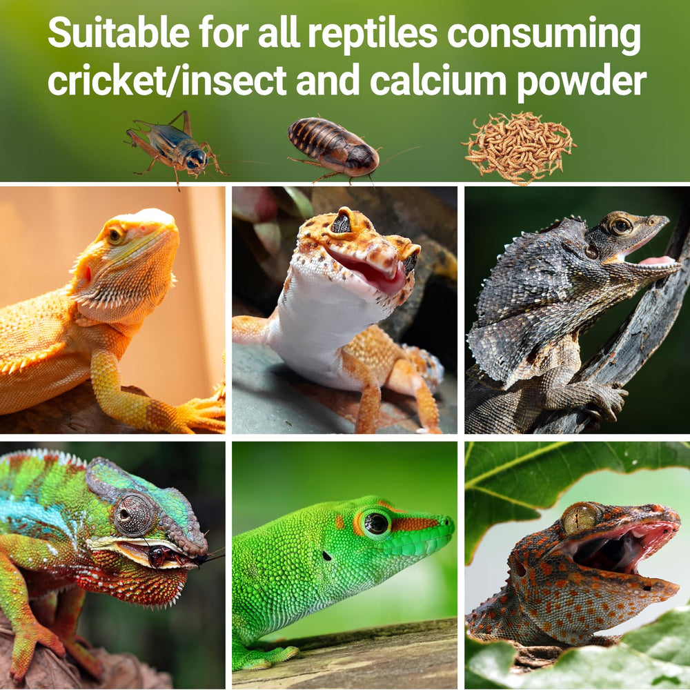 REPTI ZOO easy-grip handheld design for on-the-go feeding