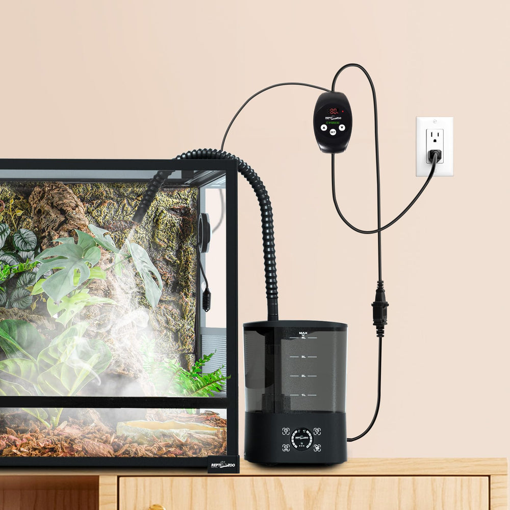 REPTI ZOO easy-to-use interface suits beginners and pros.
