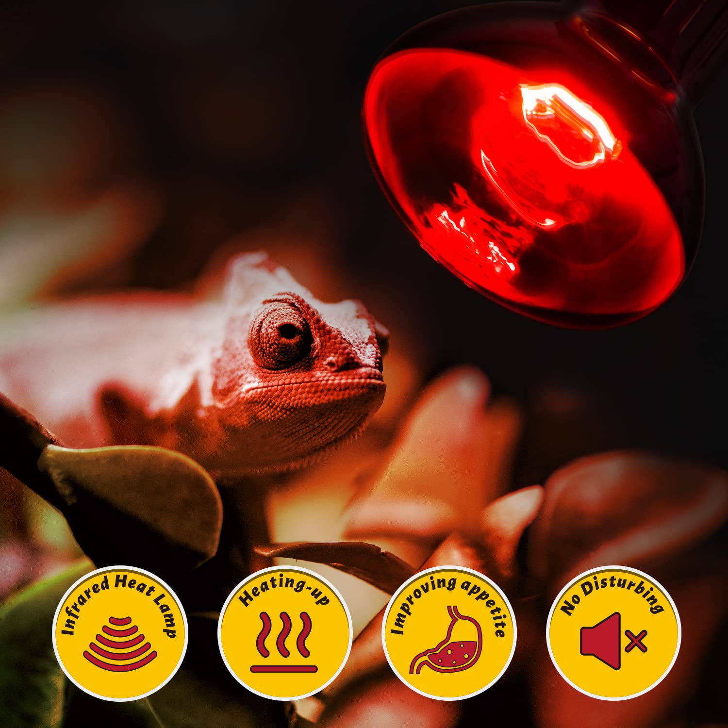 REPTI ZOO ETL-approved reptile bulb ensures safe, reliable operation.