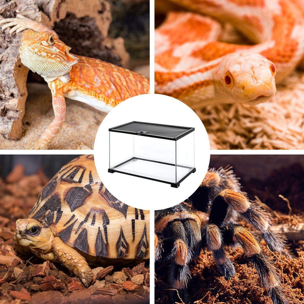 REPTI ZOO flat-pack packaging ensures safe delivery and easy setup
