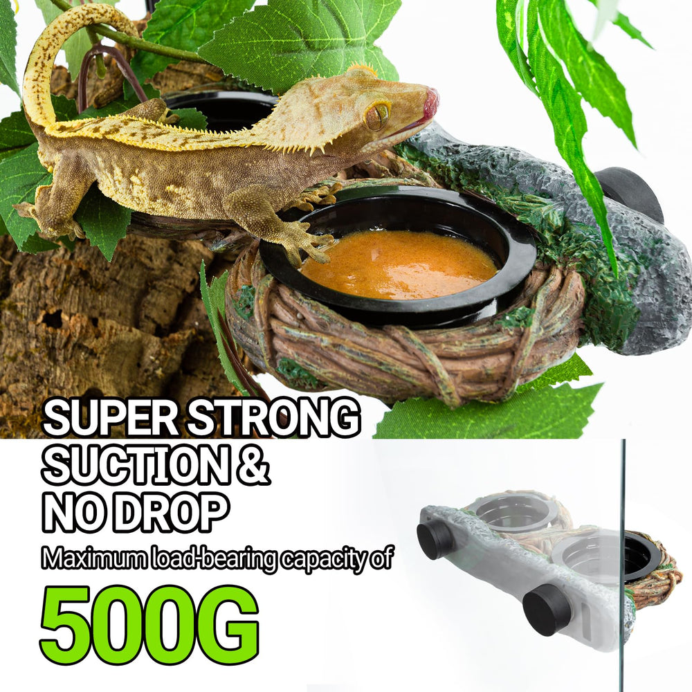 REPTI ZOO four-cup feeding set keeps water and meals organized.