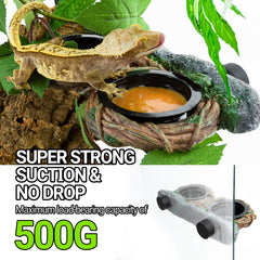 REPTI ZOO four-cup feeding set keeps water and meals organized.