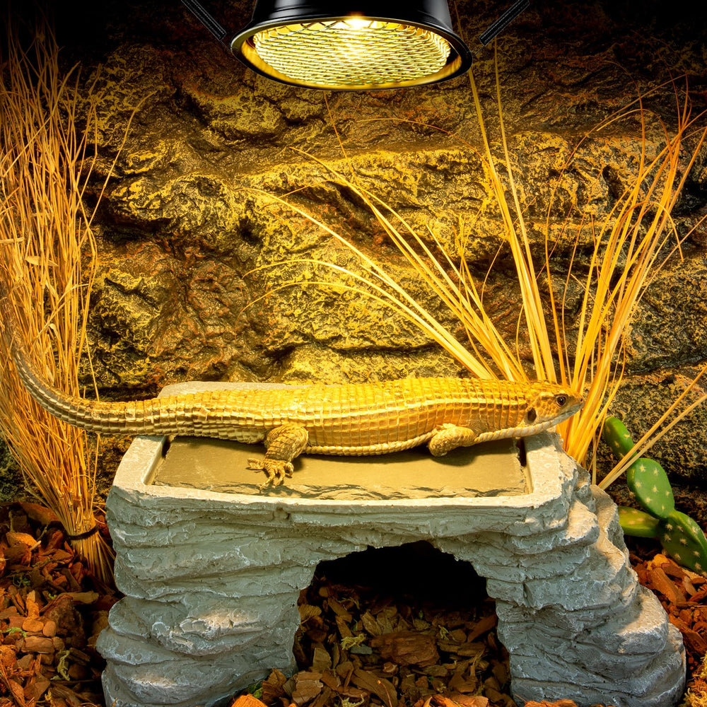 REPTI ZOO G9 supports multiple species with a safe low-profile design for diverse terrarium setups.