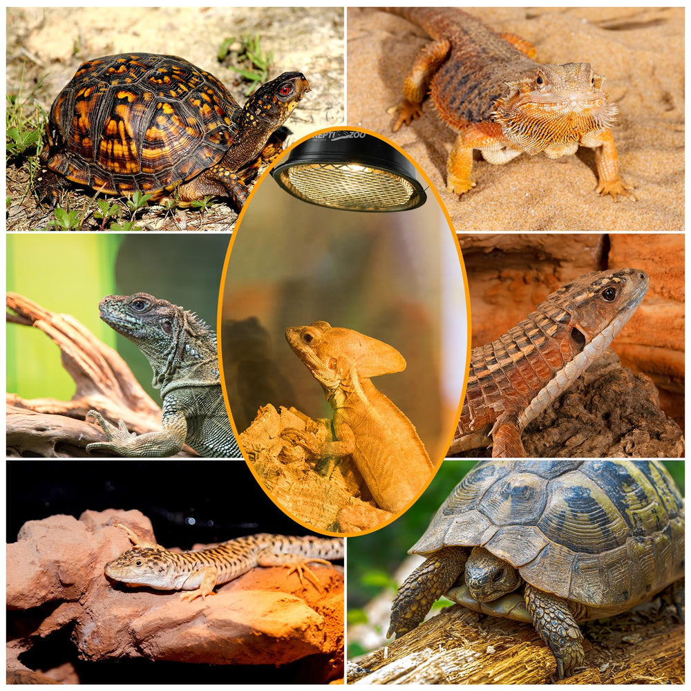 REPTI ZOO G9 includes a 90-day warranty and expert habitat support.