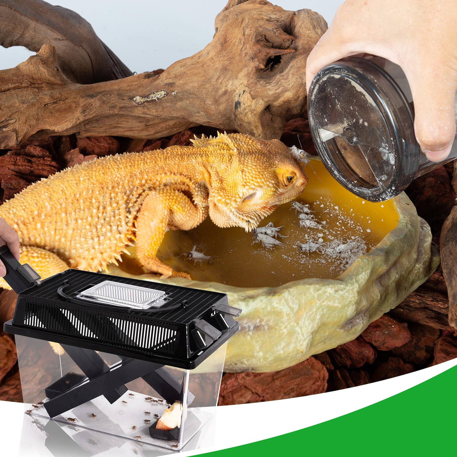 REPTI ZOO handheld design makes on-the-go reptile feeding practical
