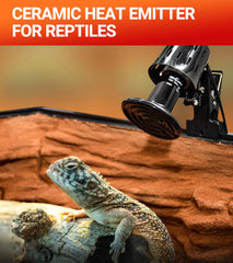 REPTI ZOO heat emitter design demonstrates humidity-friendly build suited for glass terrariums
