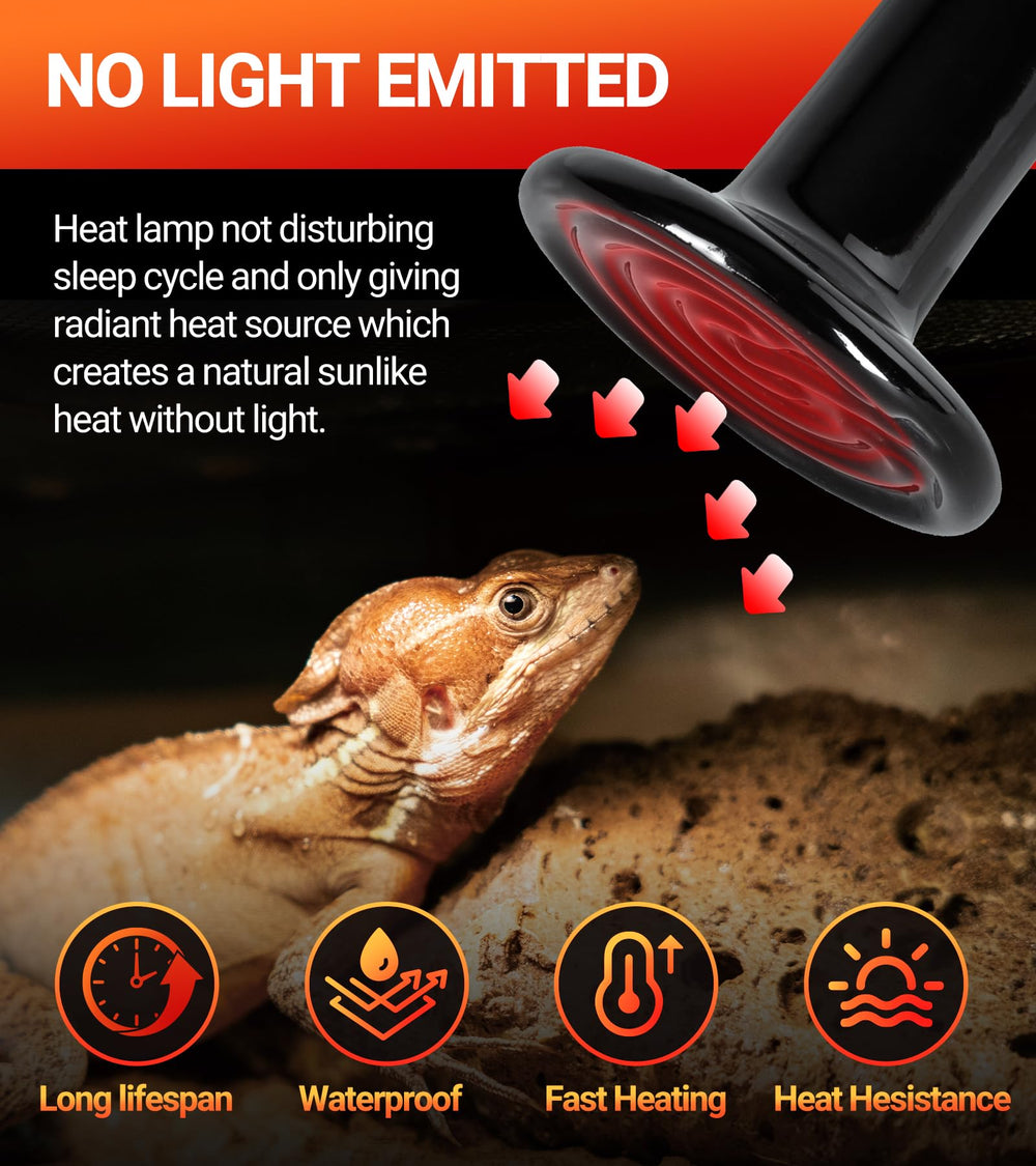 REPTI ZOO heat emitter in bearded dragon habitat shows infrared warmth supporting comfortable basking