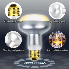 E26 socket compatibility makes installation easy for REPTI ZOO lamp