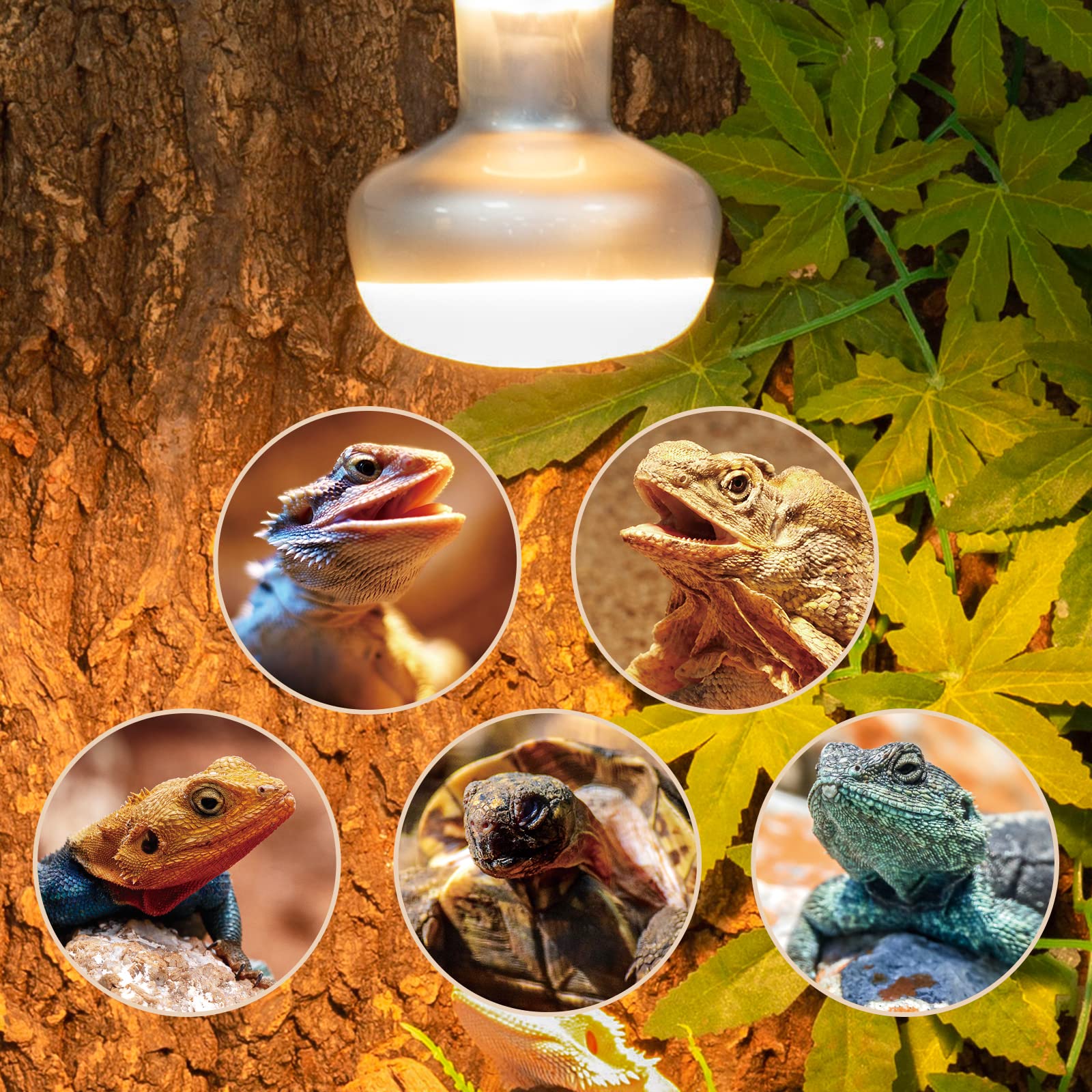 Quiet operation without buzzing from REPTI ZOO heat lamp 75W