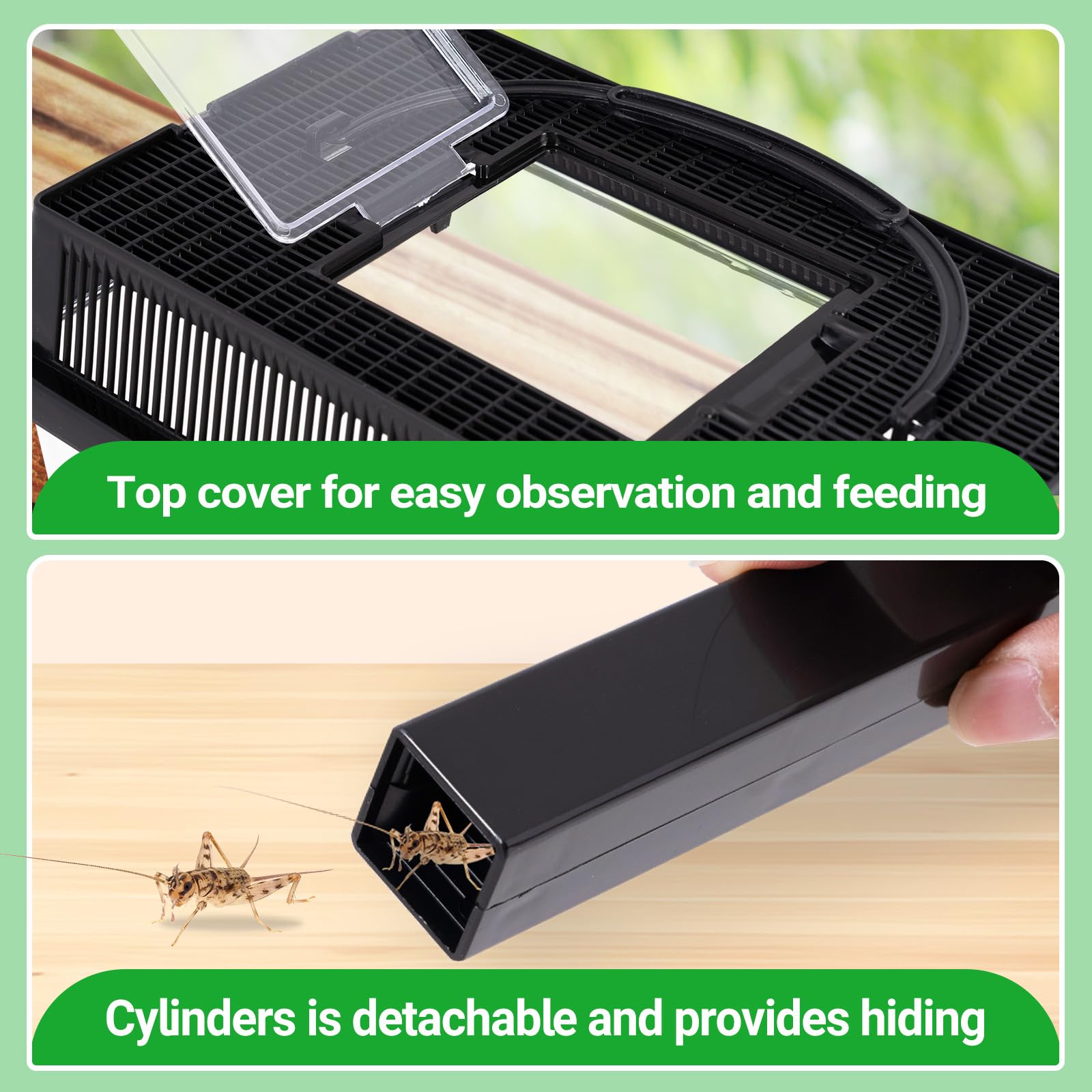 REPTI ZOO hiding tube keeps crickets contained during use