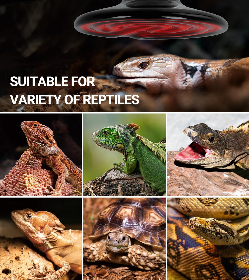 High-humidity ready heat lamp supports humid reptile setups.