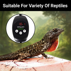 REPTI ZOO humidity range 20-95% supports diverse terrarium setups.