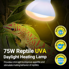 REPTI ZOO infrared heat emitter delivering ambient terrarium warmth