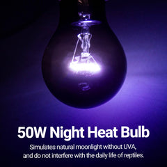 REPTI ZOO infrared warmth coverage highlights reptile cage heating setup