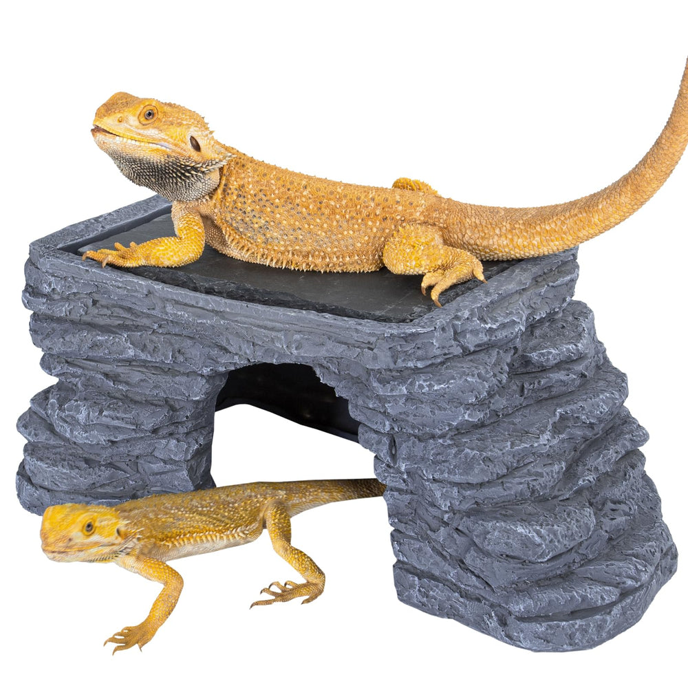 REPTI ZOO large basking platform top view showing spacious sunbathing area for UVB exposure