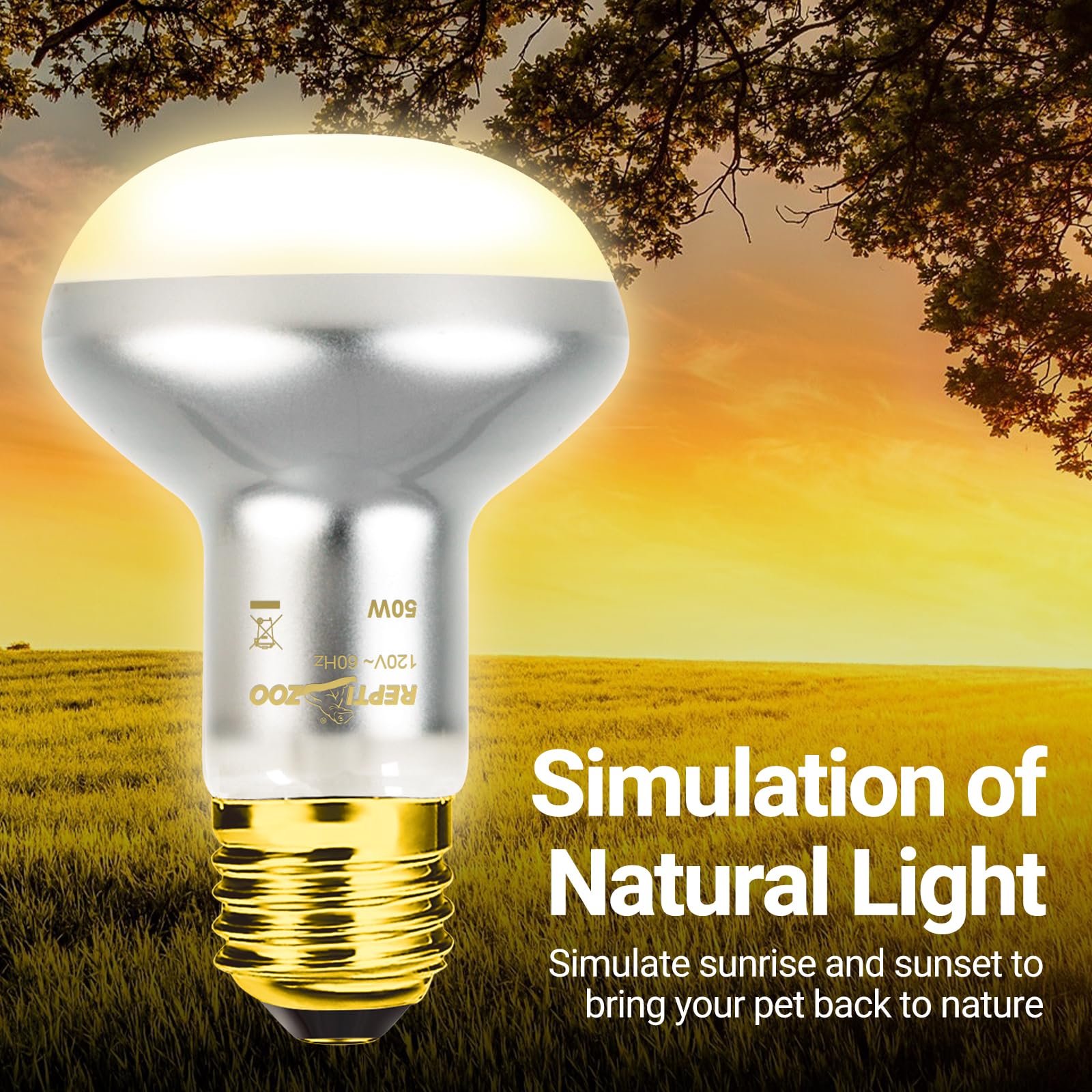 REPTI ZOO bulb lifespans up to 3000 hours for fewer replacements.