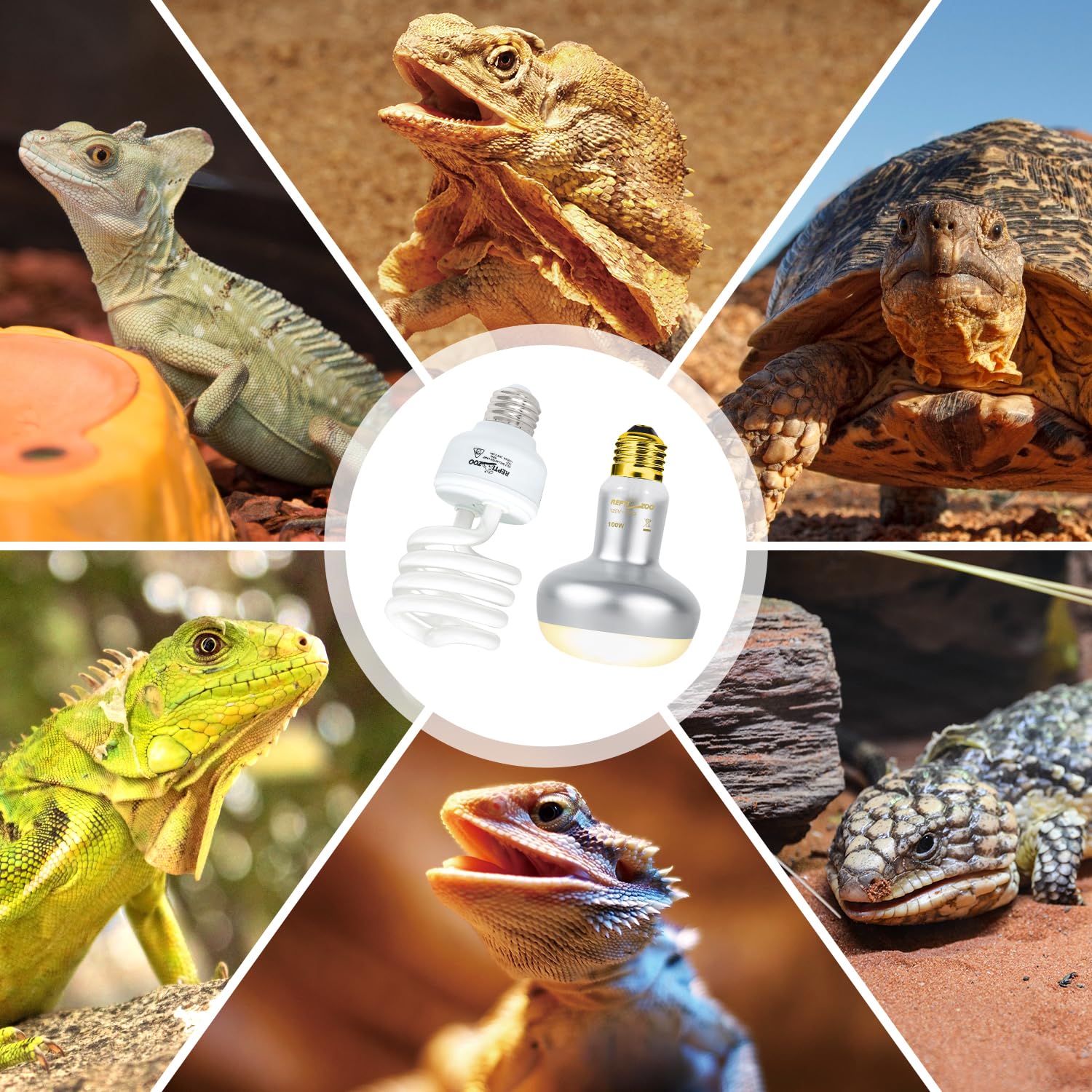 REPTI ZOO long-life bulbs offer extended operation hours