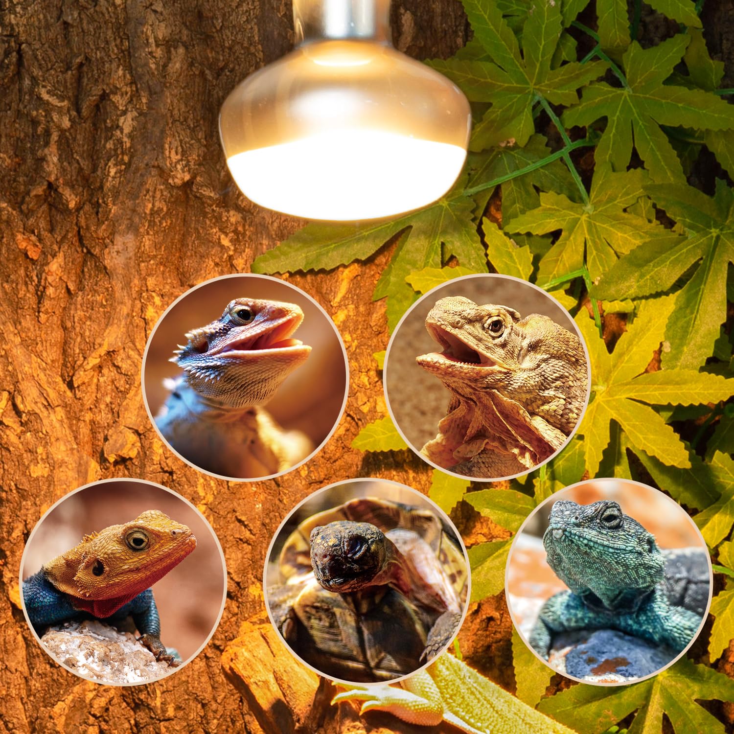 REPTI ZOO long-life bulb suitable for terrariums and brooders