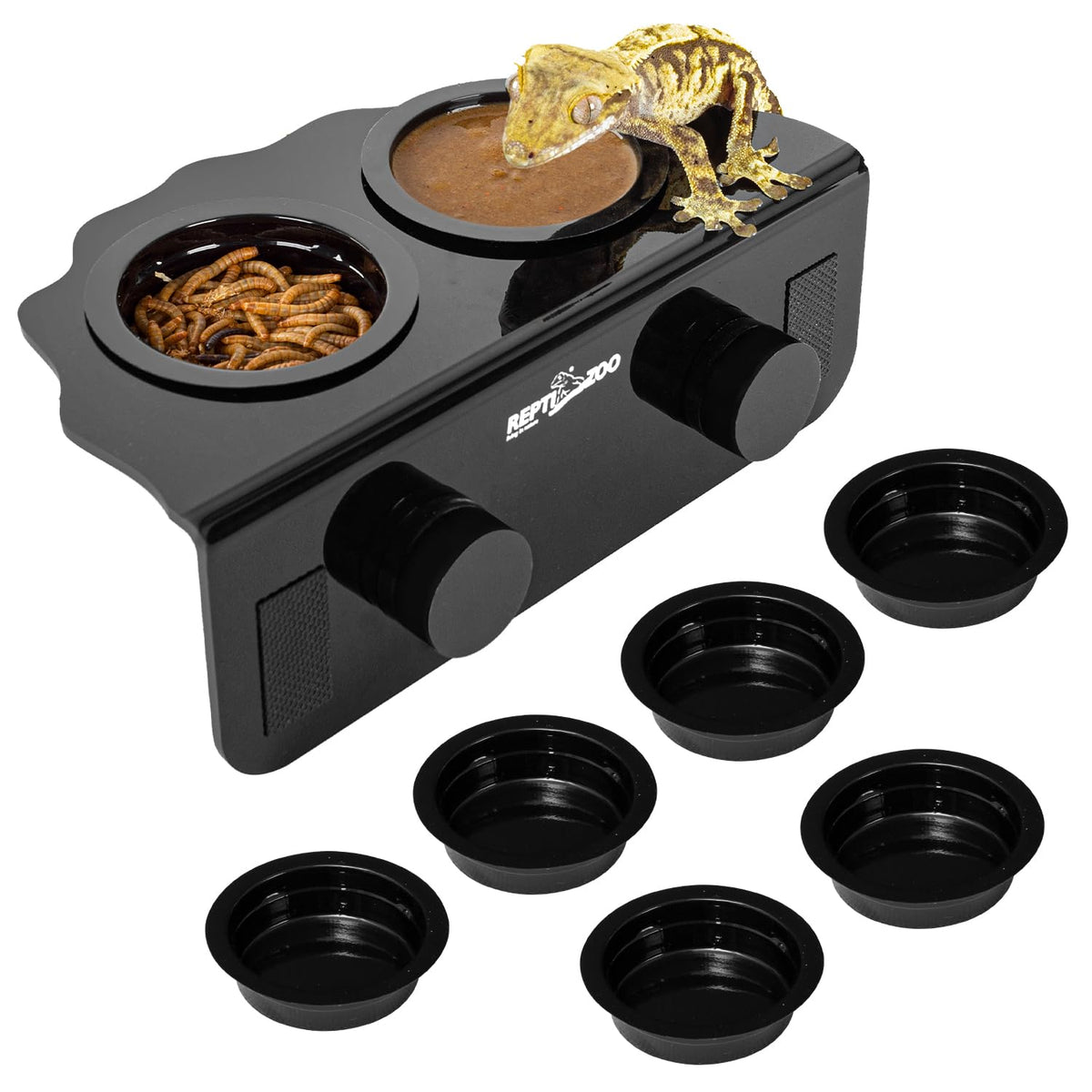 REPTI ZOO Magnetic Gecko Feeding Ledge mounted for reliable gecko feeding