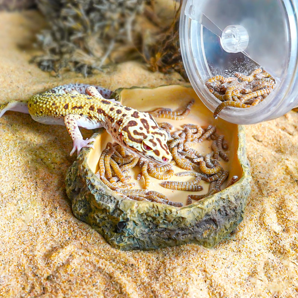 REPTI ZOO versatile keeper suitable for bearded dragons, geckos, and more.