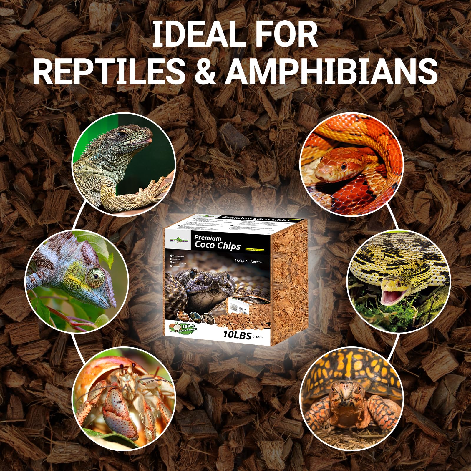 REPTI ZOO natural appearance enhances terrarium aesthetics.