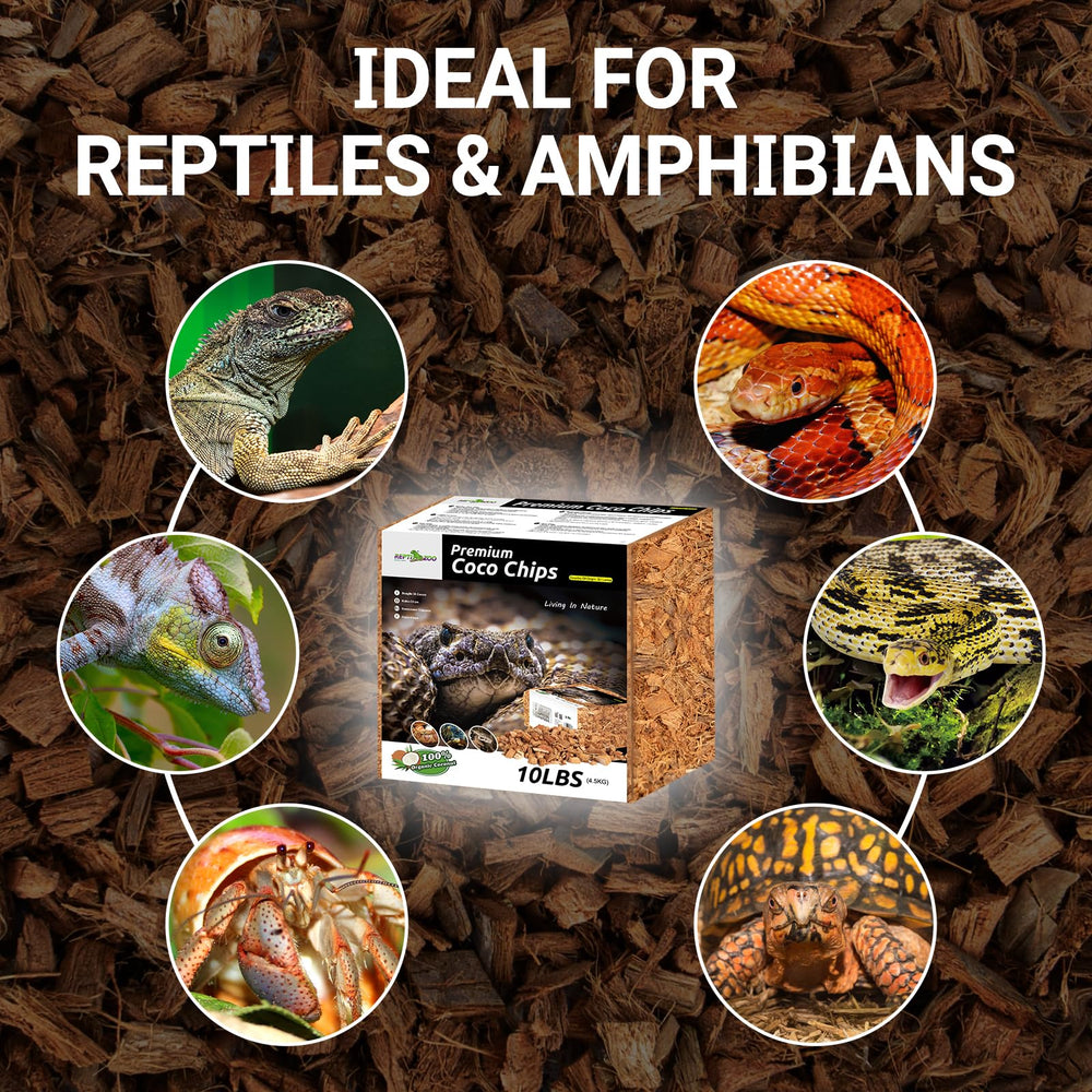 REPTI ZOO natural appearance enhances terrarium aesthetics.
