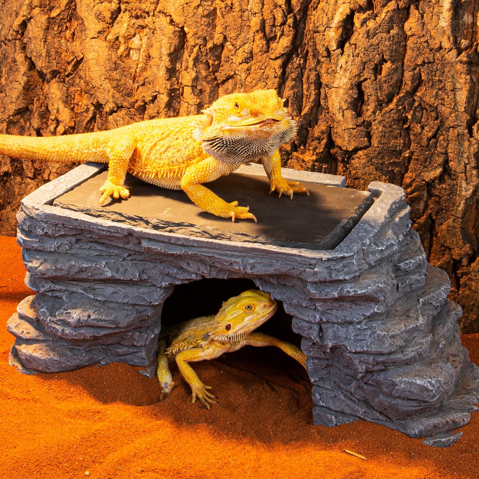 REPTI ZOO natural rice resin material highlights safe, odorless construction