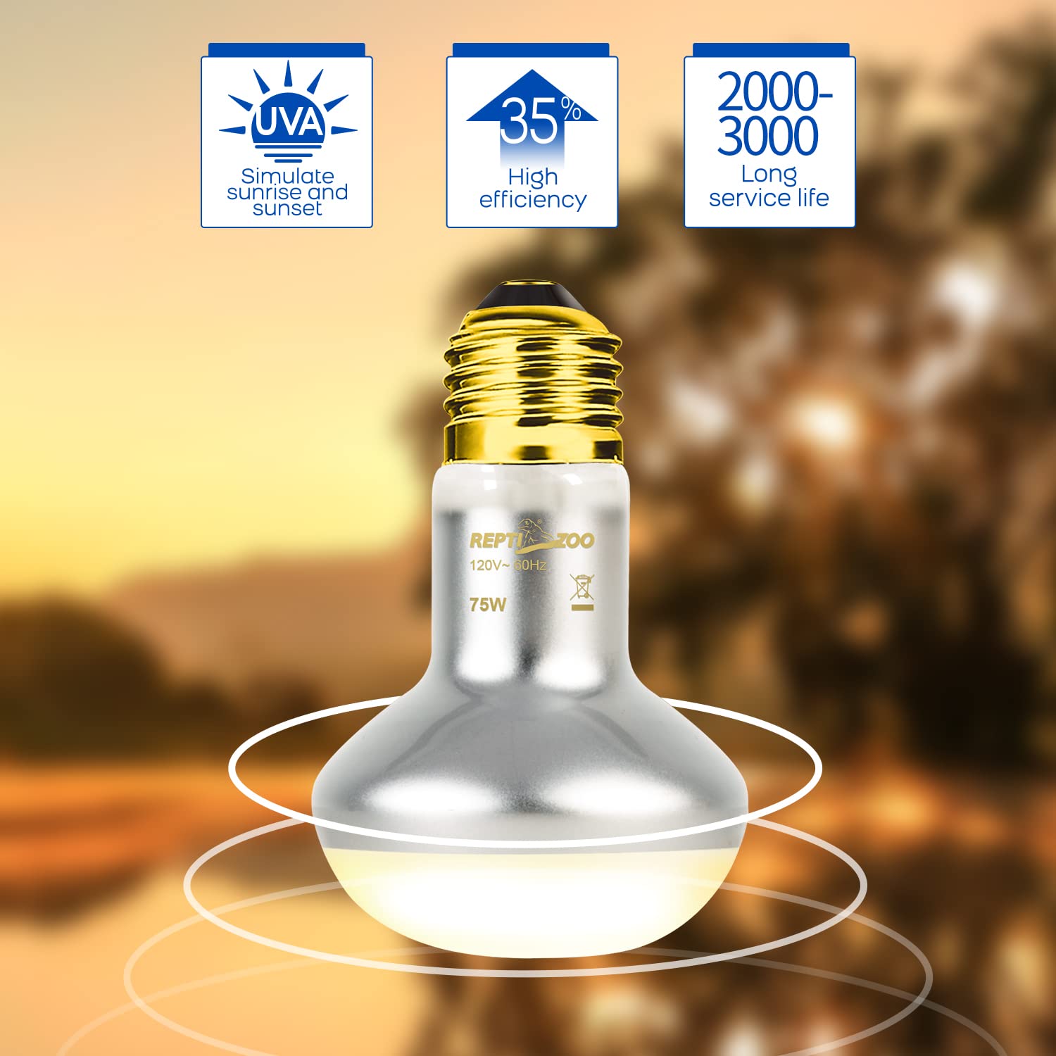 REPTI ZOO night moonlight lamp enables quiet nocturnal observation.