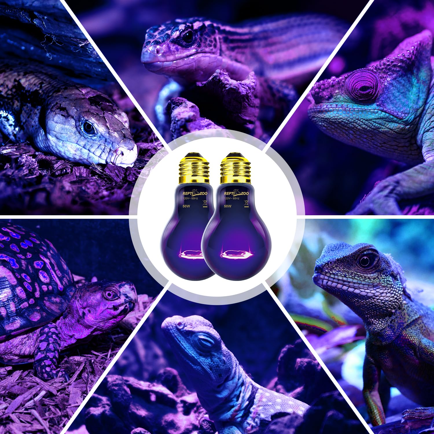 REPTI ZOO two-lamp package ready for reptile habitats