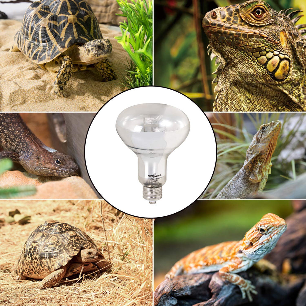 REPTI ZOO packaging shows included lamp and accessories for quick setup.