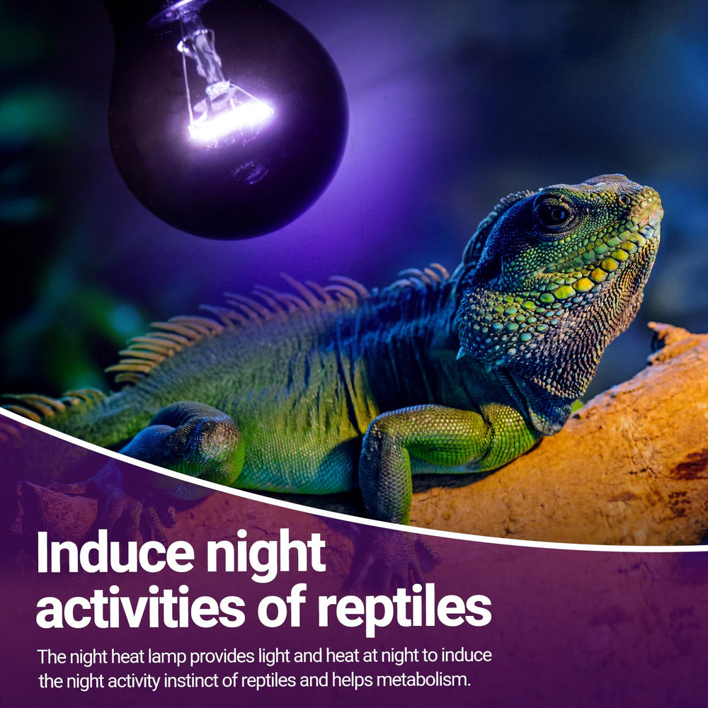 REPTI ZOO purple-coated soft-light creates a non-disruptive night glow
