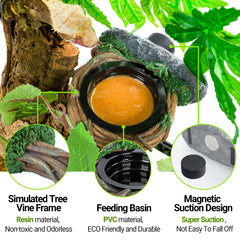 REPTI ZOO reptile water bowl part of the feeding setup