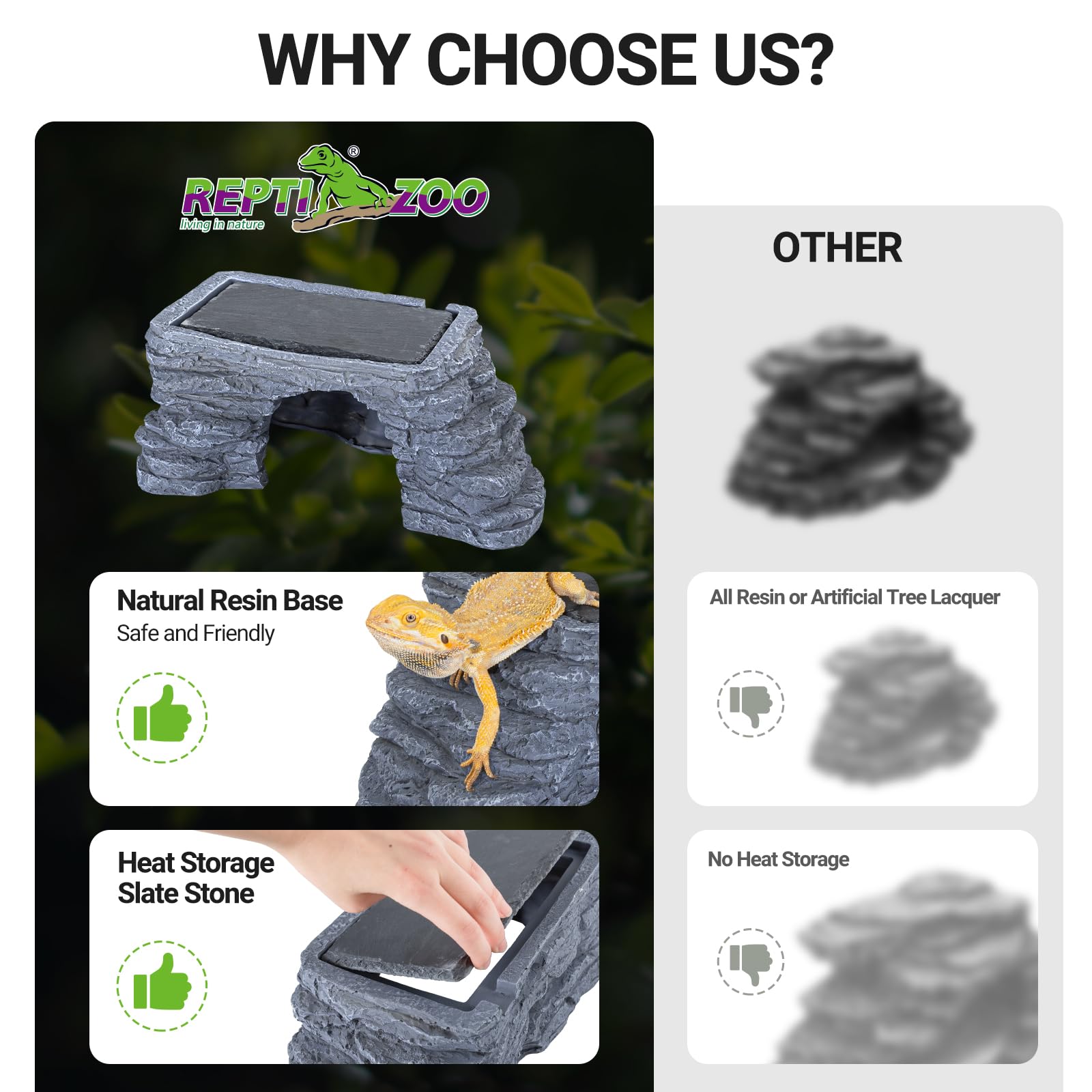 REPTI ZOO rock-climb texture scene promotes natural exploration and climbing activity