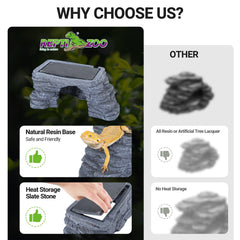 REPTI ZOO rock-climb texture scene promotes natural exploration and climbing activity